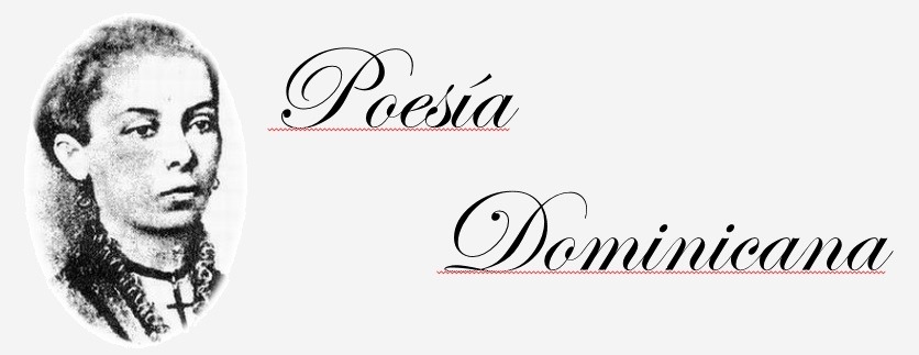 Poesia Dominicana Logo Gris